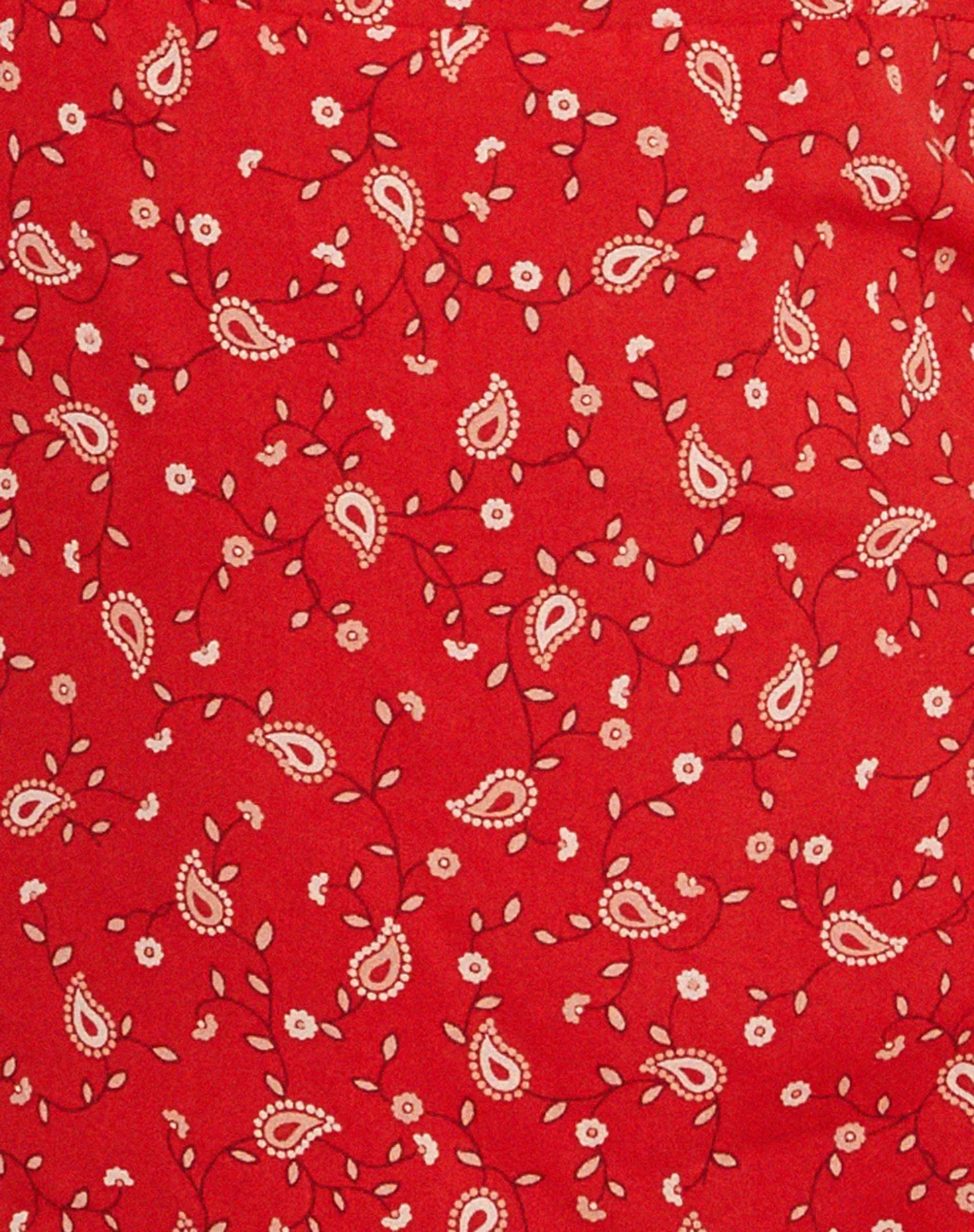 Stoira Mini Dress in Paisley Fun Red